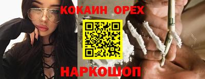 apvp Можга