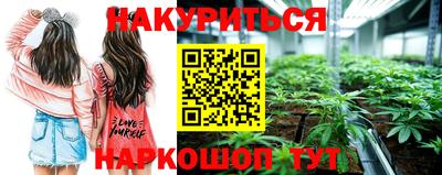 apvp Можга