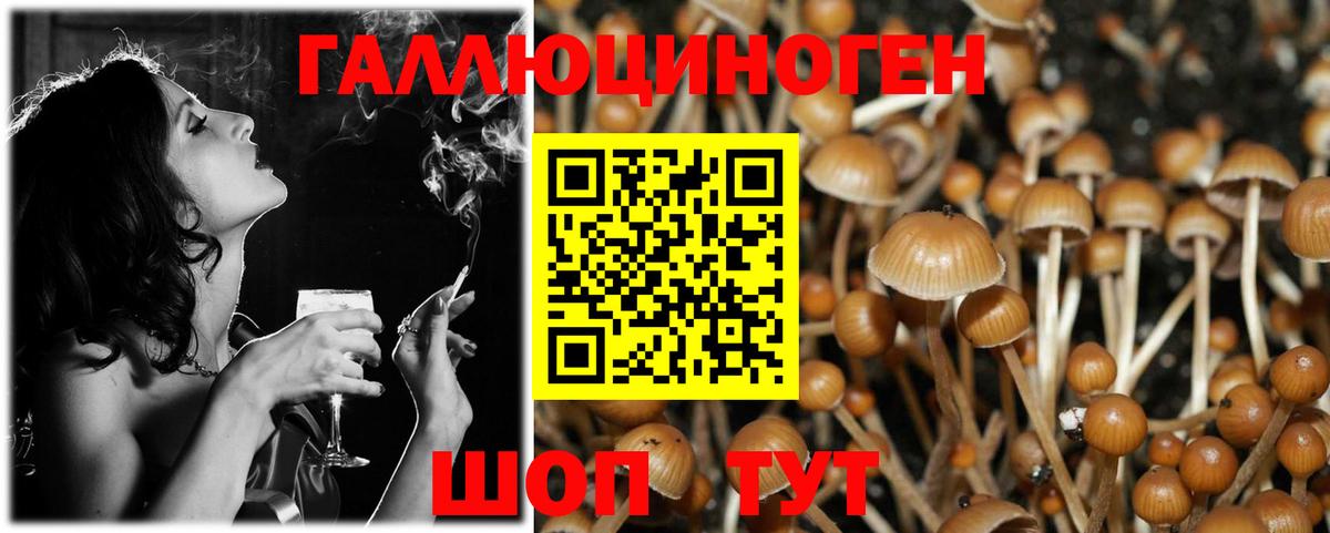 Галлюциногенные грибы ЛСД Елизово
