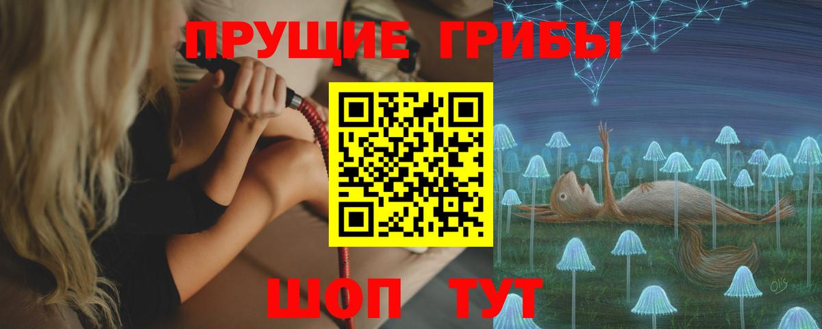 Елизово  Галлюциногенные грибы мицелий  Вход с VPN 